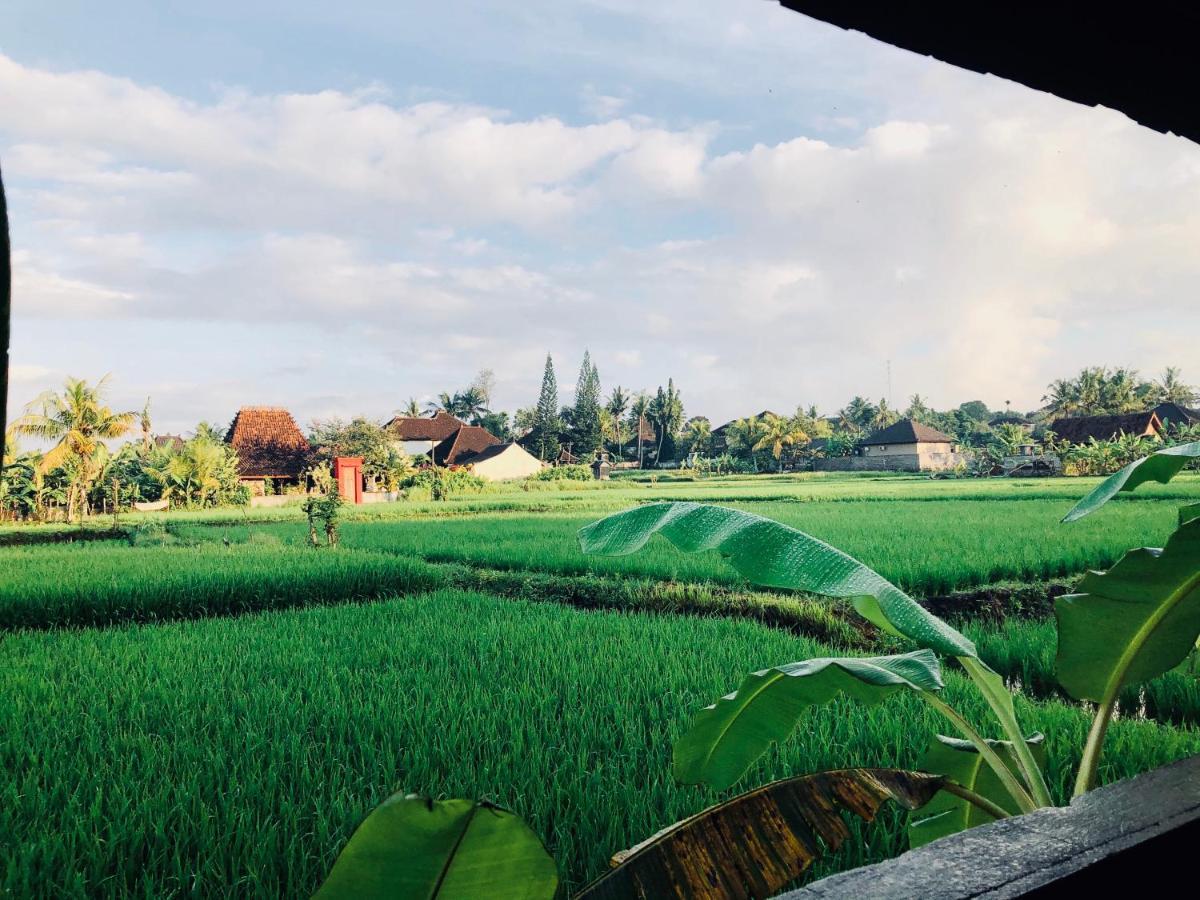Umagama Villas Ubud  Bagian luar foto